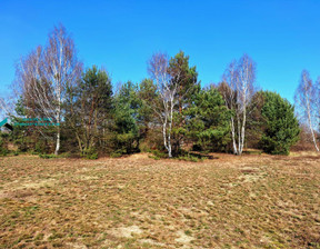 Działka na sprzedaż, Warszawski Zachodni (pow.) Stare Babice (gm.) Borzęcin Duży Trakt Królewski, 840 000 zł, 3000 m2, 45