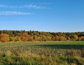 Działka na sprzedaż, Opolski (pow.) Dąbrowa (gm.) Karczów, 181 000 zł, 1324 m2, 91