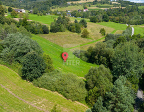 Działka na sprzedaż, Bocheński Żegocina Rozdziele, 199 000 zł, 8000 m2, 429