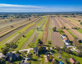 Rolny na sprzedaż, Brzeski Borzęcin, 150 000 zł, 29 700 m2, 476