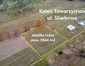 Działka na sprzedaż, Grodziski Żabia Wola Kaleń-Towarzystwo Śliwkowa, 360 000 zł, 3000 m2, 2163/1807/OGS