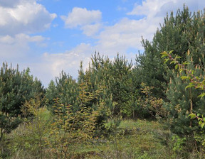 Budowlany na sprzedaż, Grodziski Żabia Wola Żelechów, 145 000 zł, 1000 m2, 2057/1807/OGS