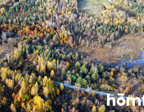 Działka na sprzedaż, Przysuski Borkowice Rusinów, 130 000 zł, 9100 m2, 2183/2089/OGS