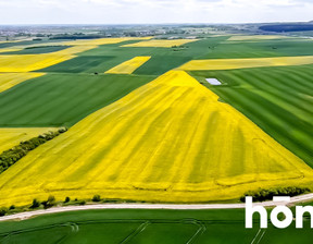 Działka na sprzedaż, Gdański Pruszcz Gdański Łęgowo Nowa, 3 393 000 zł, 75 400 m2, 2124/2089/OGS