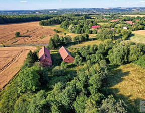 Dom na sprzedaż, Lubański Olszyna Krzewie Małe, 510 000 zł, 480 m2, 142/NRD/DS-150423