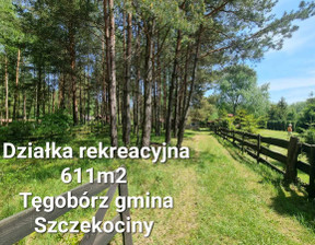 Działka na sprzedaż, Zawierciański Szczekociny Tęgobórz, 170 000 zł, 611 m2, ZG908287