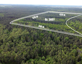 Działka na sprzedaż, Częstochowski Dąbrowa Zielona Dąbek, 1 160 000 zł, 191 757 m2, ZG463797