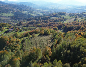 Działka na sprzedaż, Żywiecki (pow.) Jeleśnia (gm.) Pewel Wielka, 260 000 zł, 6500 m2, 26