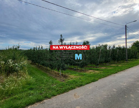 Rolny na sprzedaż, Opatowski Lipnik Kurów, 93 000 zł, 5200 m2, TWJ-GS-1566