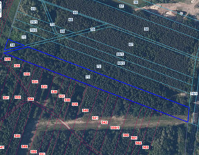 Działka na sprzedaż, Kazimierski (Pow.) Opatowiec (Gm.) Kraśniów, 55 000 zł, 12 600 m2, 18281363