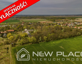 Działka na sprzedaż, Wrocławski Czernica Jeszkowice Główna, 3 500 000 zł, 40 760 m2, NP633918