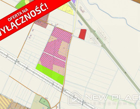 Działka na sprzedaż, Wrocławski Żórawina Krajków, 12 300 000 zł, 49 200 m2, NP778169