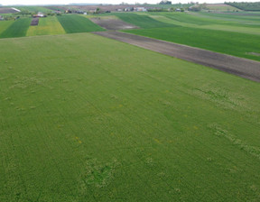 Działka na sprzedaż, Krakowski Słomniki Czechy, 1 295 000 zł, 44 790 m2, 2600