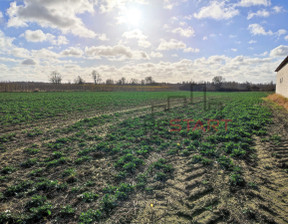 Działka na sprzedaż, Warszawski Zachodni Kampinos Pasikonie, 550 000 zł, 27 063 m2, RES460967