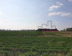 Działka na sprzedaż, Grodziski Grodzisk Mazowiecki Żuków, 1 316 000 zł, 32 900 m2, RES864383