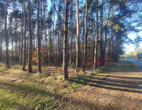 Działka na sprzedaż, Grodziski Jaktorów Stare Budy, 743 400 zł, 12 390 m2, RES880976