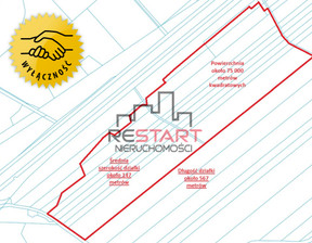 Działka na sprzedaż, Grodziski Żabia Wola Siestrzeń Bliska, 16 500 000 zł, 75 000 m2, 835815