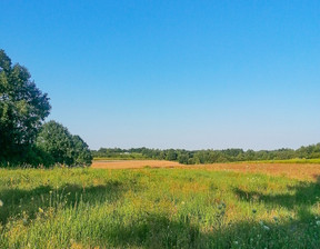 Rolny na sprzedaż, Kazimierz Dolny Góry, 250 000 zł, 3663 m2, 49/EMN/DZS-438