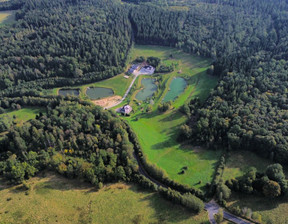 Budowlany na sprzedaż, Lubański (pow.) Świeradów-Zdrój Zacisze, 19 995 000 zł, 70 000 m2, 57/10700/OGS