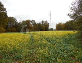 Działka na sprzedaż, Łęczyński Puchaczów Nadrybie-Wieś, 97 000 zł, 10 800 m2, 883726