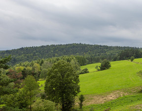 Działka na sprzedaż, Leski Baligród Kiełczawa, 200 000 zł, 3000 m2, 1490/13924/OGS