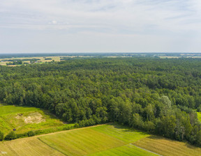 Rolny na sprzedaż, Dąbrowski Szczucin Borki, 90 000 zł, 6300 m2, 312/13924/OGS