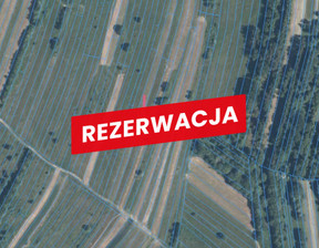 Działka na sprzedaż, Nowotarski Łapsze Niżne Trybsz, 19 900 zł, 1377 m2, 1245/13924/OGS