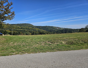 Działka na sprzedaż, Tarnowski Rzepiennik Strzyżewski Turza Turza, 49 000 zł, 3400 m2, 1556/13924/OGS