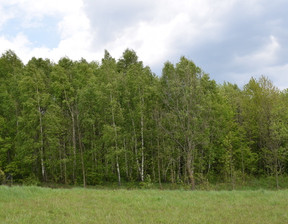 Działka na sprzedaż, Przeworski Jawornik Polski Hucisko Jawornickie, 19 500 zł, 2600 m2, 1378/13924/OGS