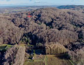 Leśne na sprzedaż, Tarnowski Ryglice Zalasowa, 16 800 zł, 2800 m2, 1189/13924/OGS