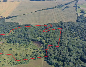 Działka na sprzedaż, Elbląski (pow.) Pasłęk (gm.) Stegny, 1 570 000 zł, 224 802 m2, 199