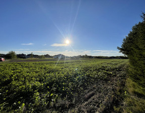 Budowlany na sprzedaż, Stalowowolski (Pow.) Zaleszany (Gm.) Pilchów Graniczna, 112 000 zł, 800 m2, 337