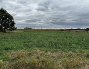 Budowlany na sprzedaż, Grodziski Rakoniewice Drzymałowo, 160 000 zł, 2007 m2, 397060