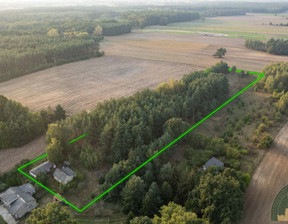 Dom na sprzedaż, Ciechanowski (Pow.) Regimin (Gm.) Trzcianka Trzcianka, 229 000 zł, 66 m2, 340