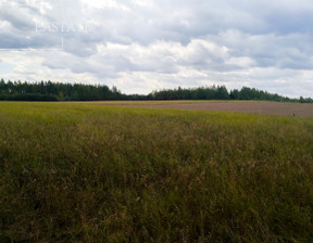 Rolny na sprzedaż, Tucholski Śliwice Łąski Piec, 599 000 zł, 33 600 m2, 188570