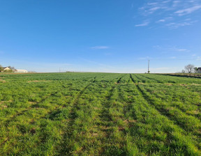 Działka na sprzedaż, Zamojski Zamość Sitaniec, 147 000 zł, 1400 m2, 43