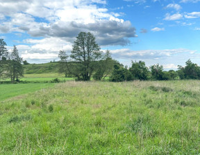 Działka na sprzedaż, Czarnkowsko-Trzcianecki (Pow.) Trzcianka (Gm.) Radolin Radolin, 120 000 zł, 3400 m2, 44