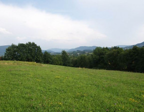 Budowlany na sprzedaż, Myślenicki (pow.) Wiśniowa (gm.) Lipnik, 299 000 zł, 7100 m2, 334