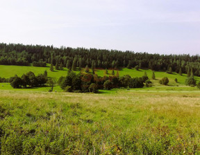 Działka na sprzedaż, Kłodzki Stronie Śląskie Czarna Góra, 351 248 zł, 2341,65 m2, 35467