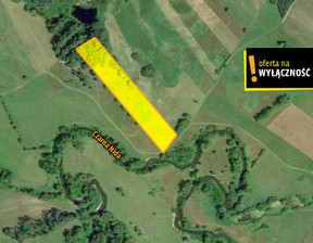 Działka na sprzedaż, Kielecki Morawica Nida, 147 000 zł, 10 500 m2, GH343707