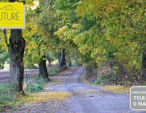 Działka na sprzedaż, Elbląski Pasłęk Borzynowo, 108 000 zł, 21 600 m2, 552230