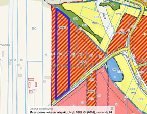 Działka na sprzedaż, Żyrardowski Mszczonów Szeligi Południowa, 1 249 600 zł, 14 200 m2, EMP-GS-9770