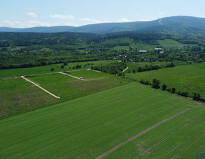 Działka na sprzedaż, Lubański Świeradów-Zdrój, 294 000 zł, 1500 m2, 920399