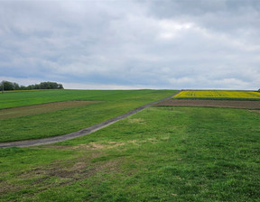 Działka na sprzedaż, Krakowski Sułoszowa Wielmoża, 199 000 zł, 8000 m2, SMK-GS-6124