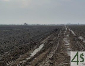 Działka na sprzedaż, Warszawski Zachodni Leszno Zaborówek, 170 000 zł, 1000 m2, 9127/3098/OGS