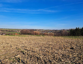 Działka na sprzedaż, Krakowski Skała Cianowice, 150 000 zł, 1200 m2, 694