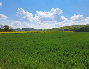 Działka na sprzedaż, Krakowski Skała Przybysławice, 580 000 zł, 8800 m2, 741