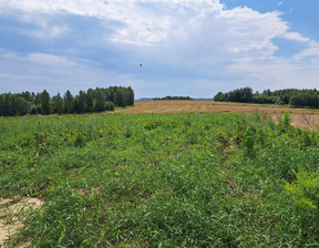 Działka na sprzedaż, Krakowski Skała Skała/ojców, 87 600 zł, 2900 m2, 746