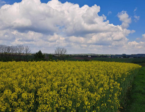 Budowlany na sprzedaż, Krakowski Skała Przybysławice, 160 000 zł, 800 m2, 748