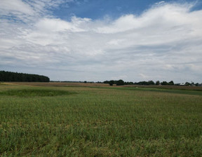 Działka na sprzedaż, Obornicki (Pow.) Rogoźno (Gm.) Parkowo, 99 000 zł, 982 m2, 44